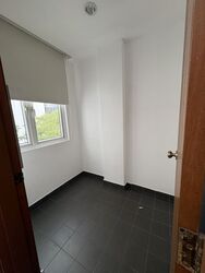 The Balmoral Spring (D10), Apartment #525113451